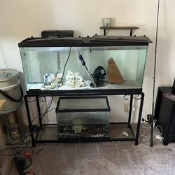 55 Gallon Aquarium With Metal Stand,light,heater