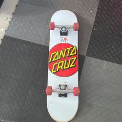 Santa Cruz Skateboard Used Very Good Condition 