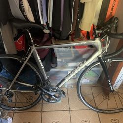 Giant TCR SL