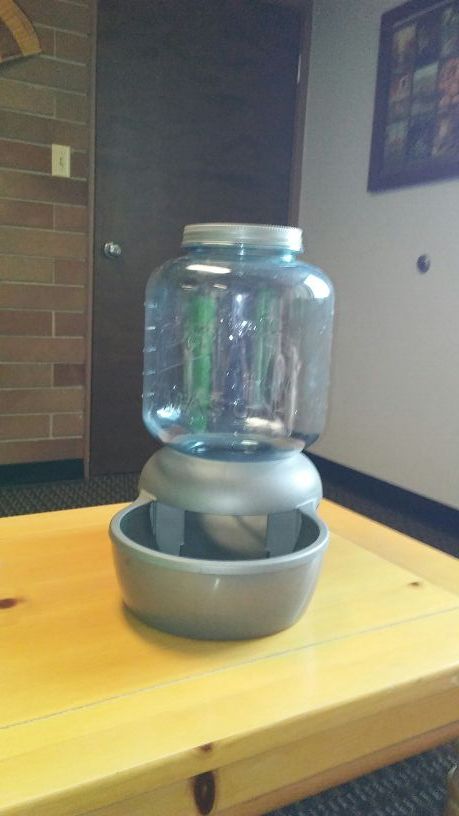 Petmate Mason feeder