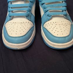Nike Dunks 