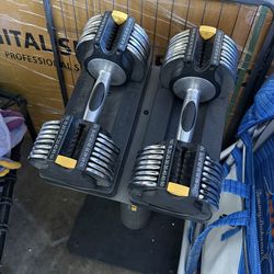 Golds gym adjustable weights with stand