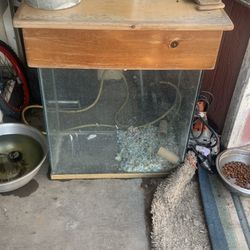 Reptile Or Fish Tank