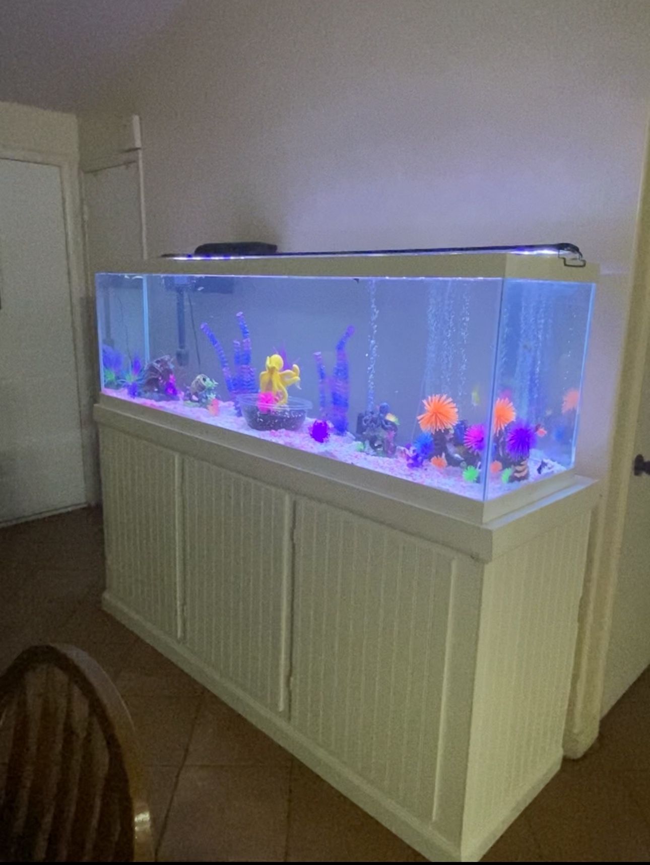 125 Gallon Fish Tank And Stand