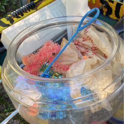 Fish Bowl