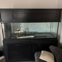 180 Gallon Fish Tank