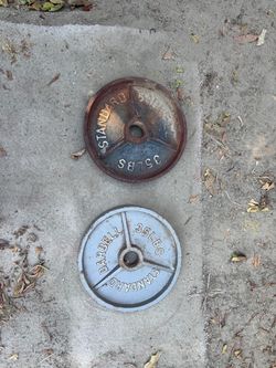 35lb weight plates