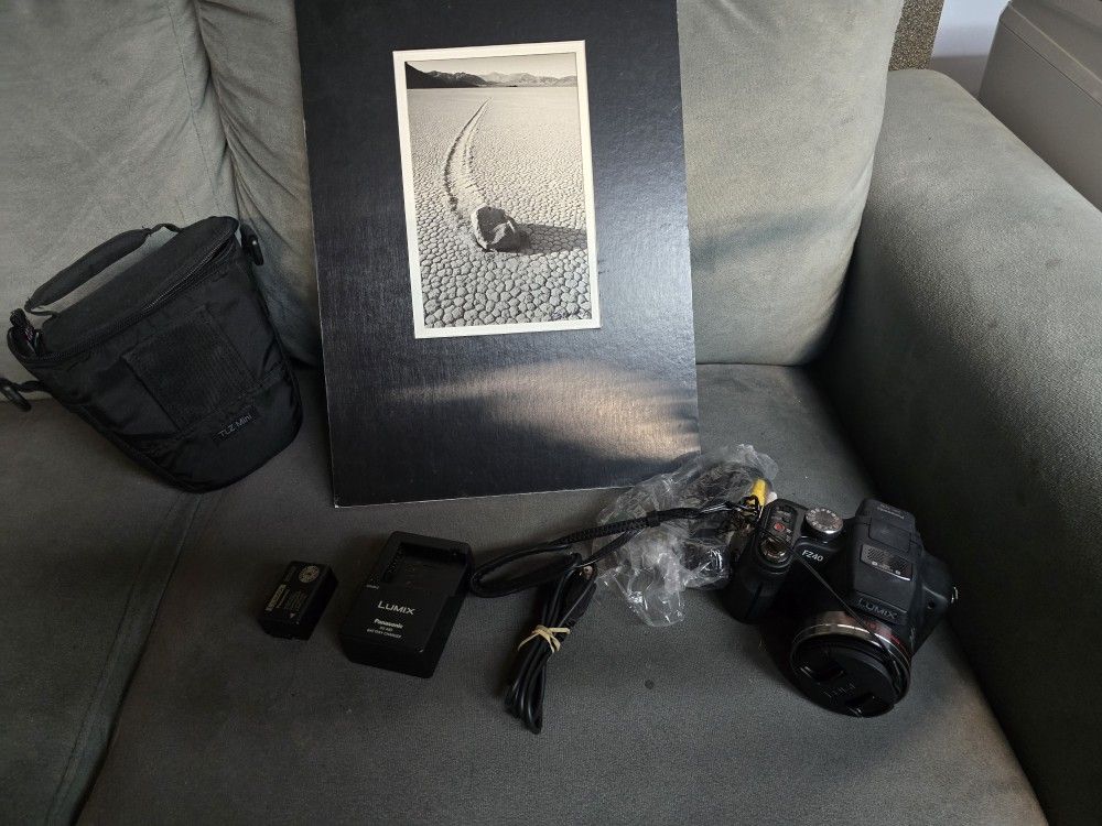 Panasonic LUMIX DMC-FZ40 14.1MP Digital Camera + SD card and bag TESTED