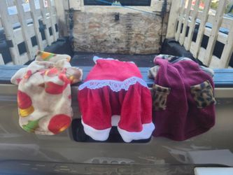 Dog outfits