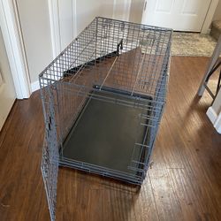 Medium Size Puppy Apartment