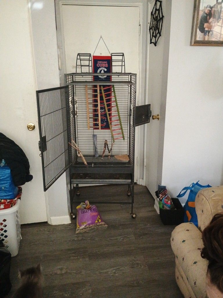 Medium Bird Cage Lots Of Bird Stuff