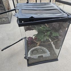 Bunch of Tanks/Terrariums that have to go