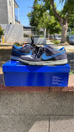 Nike SB Dunk Low (Patagonia’s)