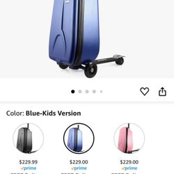 Scooter Luggage 