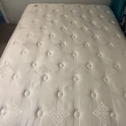 Mattress and box spring 