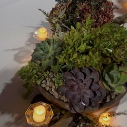 Large Succulent Arrangement 