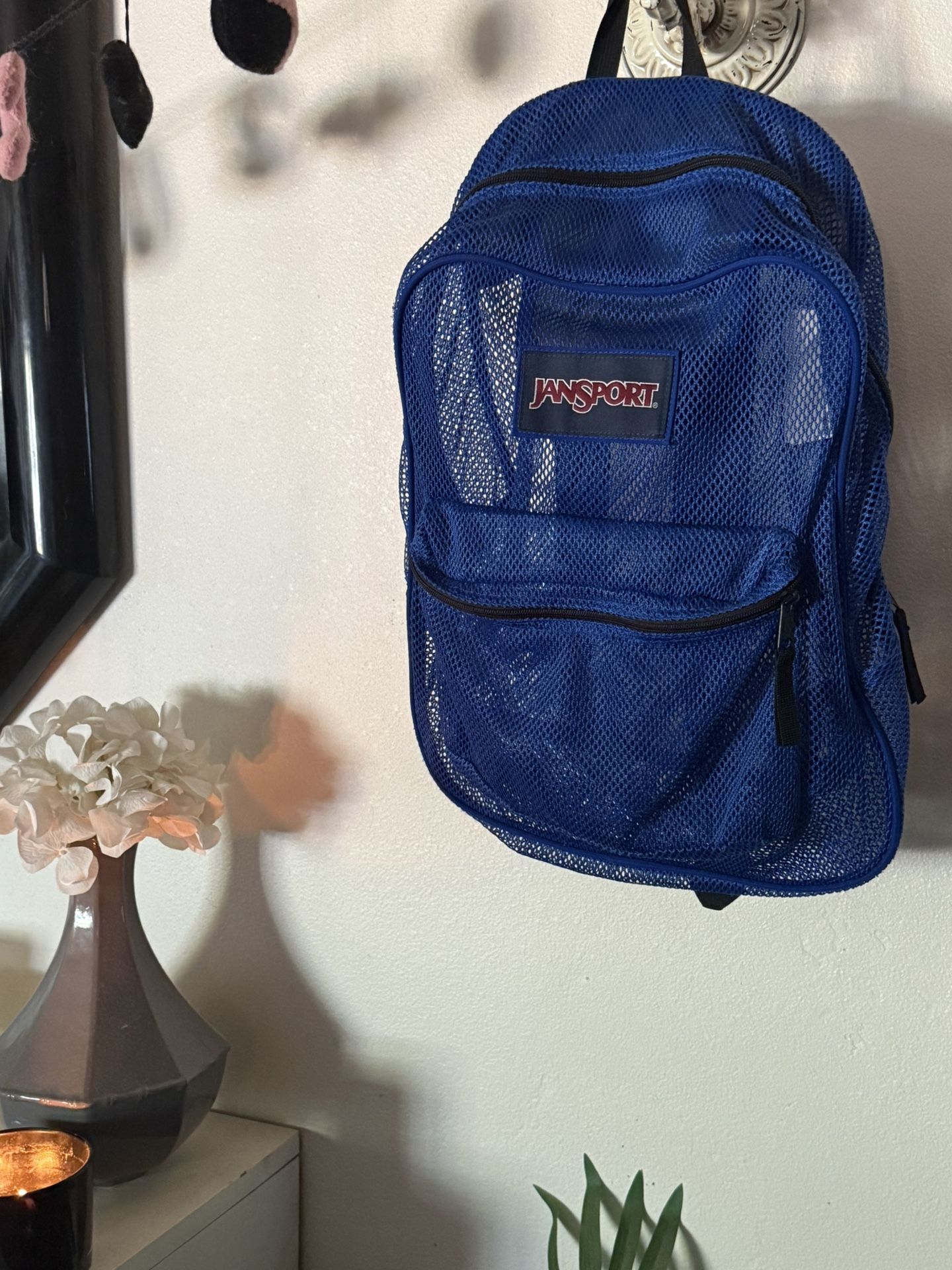 JanSport Blue Mesh / Net Backpack
