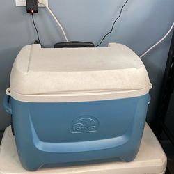 Igloo Medium/Large