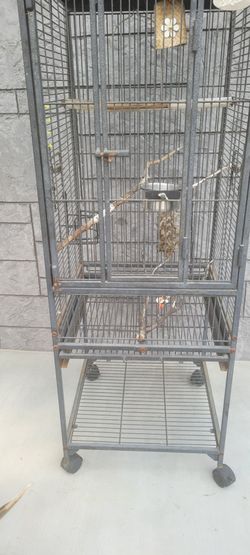 Bird cage