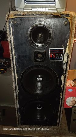 2 DCM Loudspeakers 