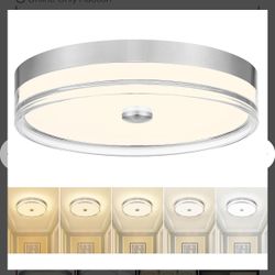 LED Flush Mount Ceiling Light Fixture, 16 In Color Changing