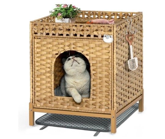 Litter Box