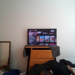 40 Inch Roku Tv 