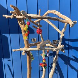 Macaw / Large Parrot Perch Tree —- Thick N Curvy .., Paradise For Your Gnarly Macaw Or Cockatoo!!