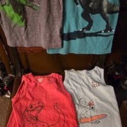 Dinosaur Boy Shirts size 5T 