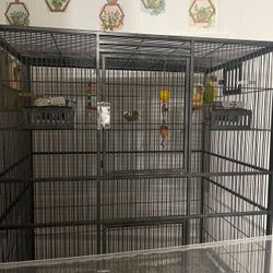 Parrots,Cage 