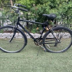 Schwinn Wayfarer Bike