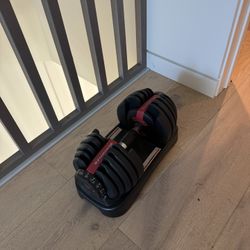 Bowflex Dumbbell 
