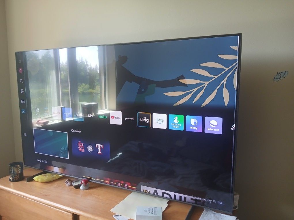 65 Inch Samsung TV