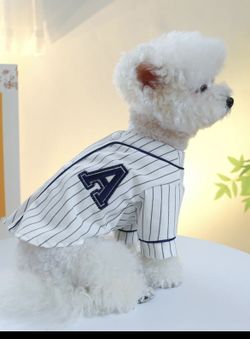 Puppy/kitten Clothes