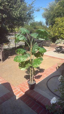 Fake plant