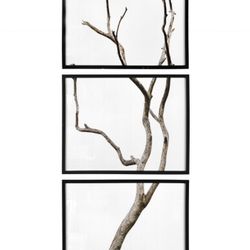 Wood Framed Branch Artwork Large  (Set of 3)- New