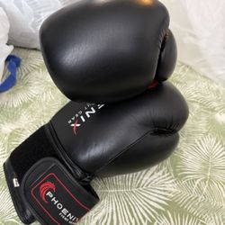 Boxing Gloves. Leather 