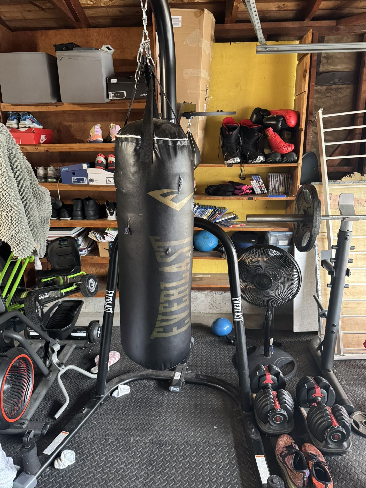 Everlast 100lb Punching Bag/ Speed Bag Set