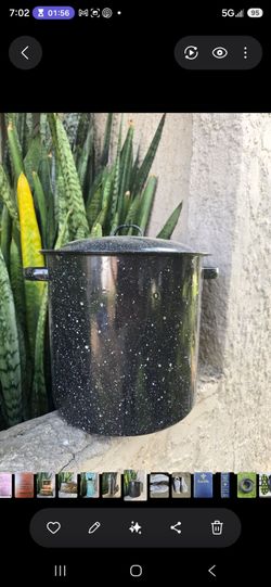 Stock pot