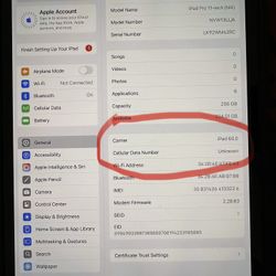 Apple iPad Pro 11” 2024 Unlocked 