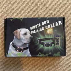 Dog Training Collar