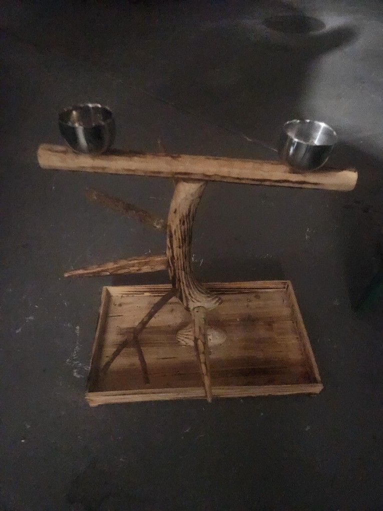 Bird Stand