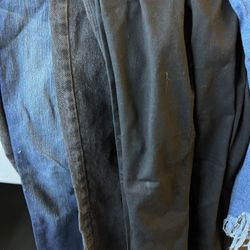 Collision Lady’s Bans 