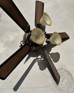 Ceiling Fan