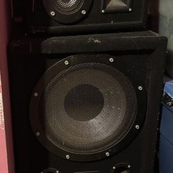 Radio And Pro Studio 14 Inch Speaker 