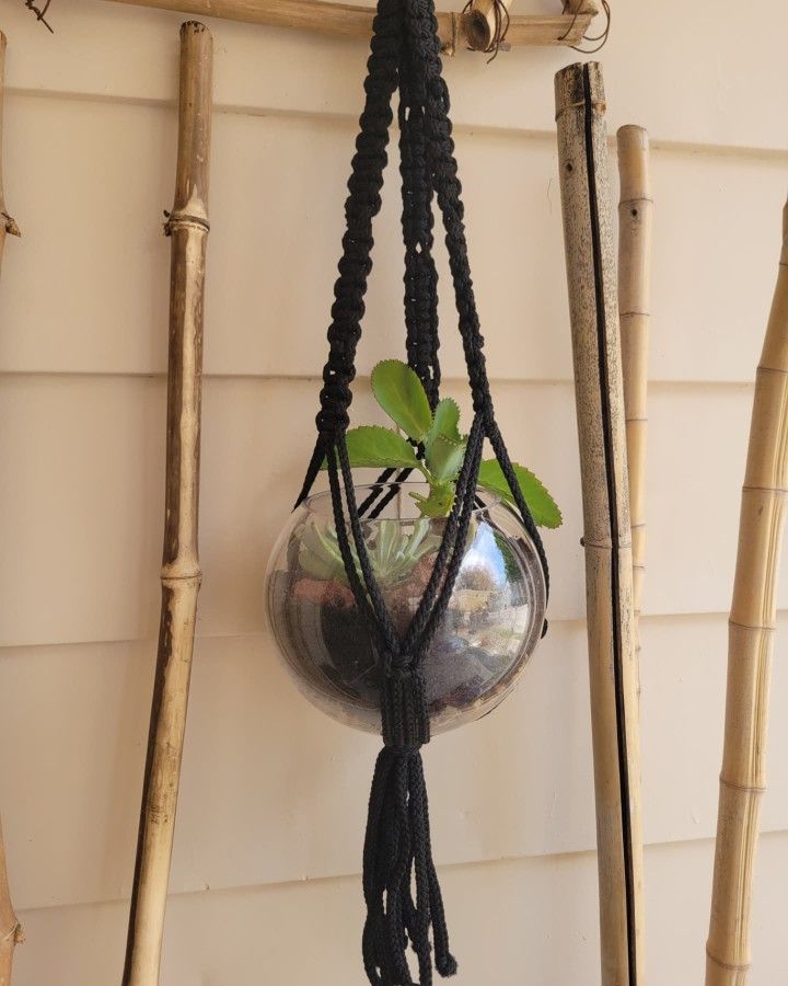 Macrame Plant Hanger