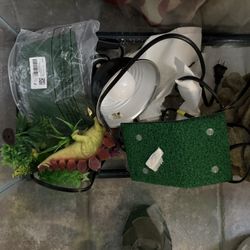 Fish Tank