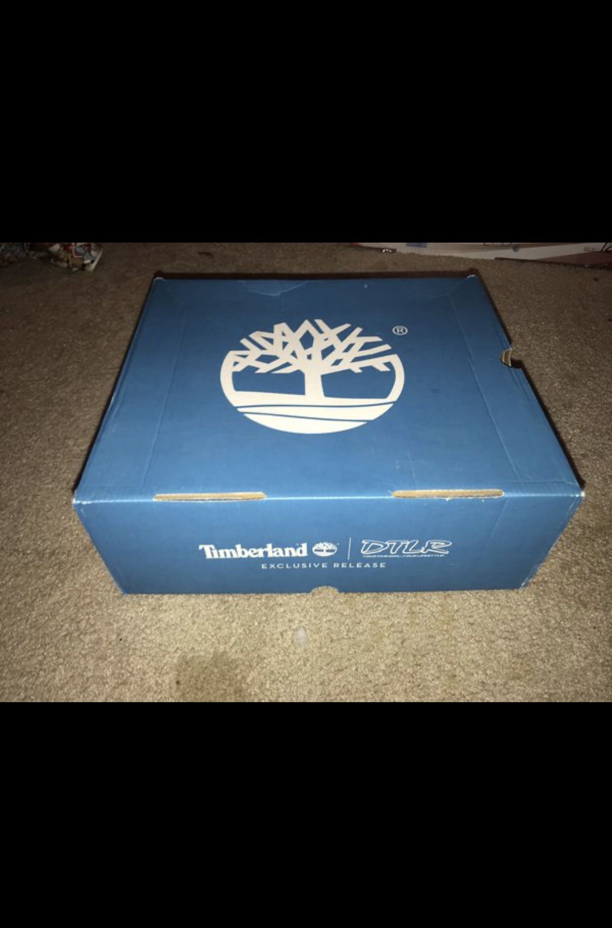 Timberland Boots (Exclusive)