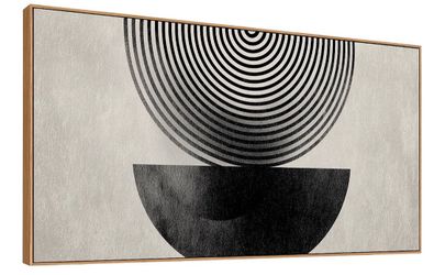 Abstract Geometric Concentric Circles Design Minimalist Framed Art Work - Black & White - 20 x 40