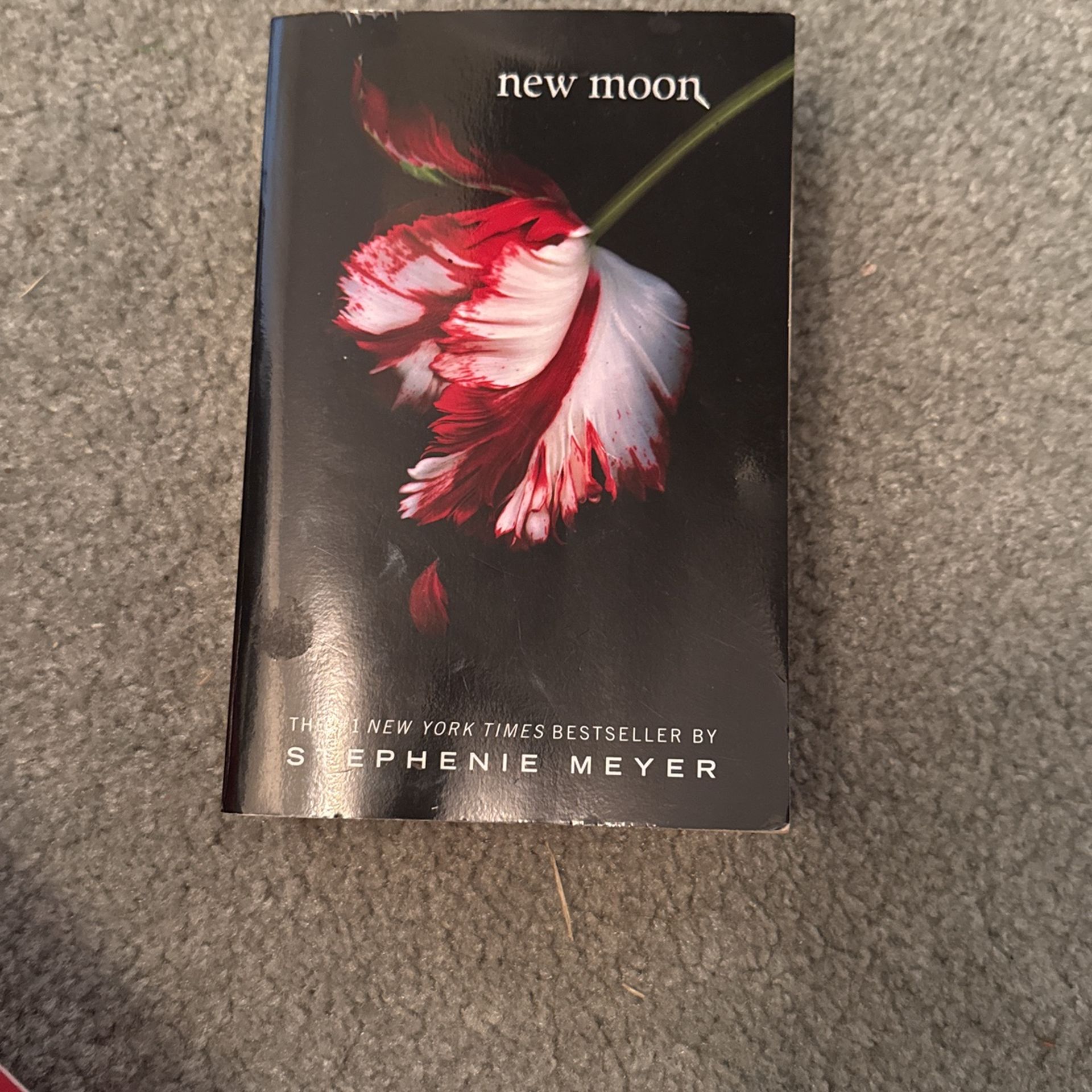 New Moon Book